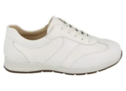 Womens Wide Fit DB Linton Canvas